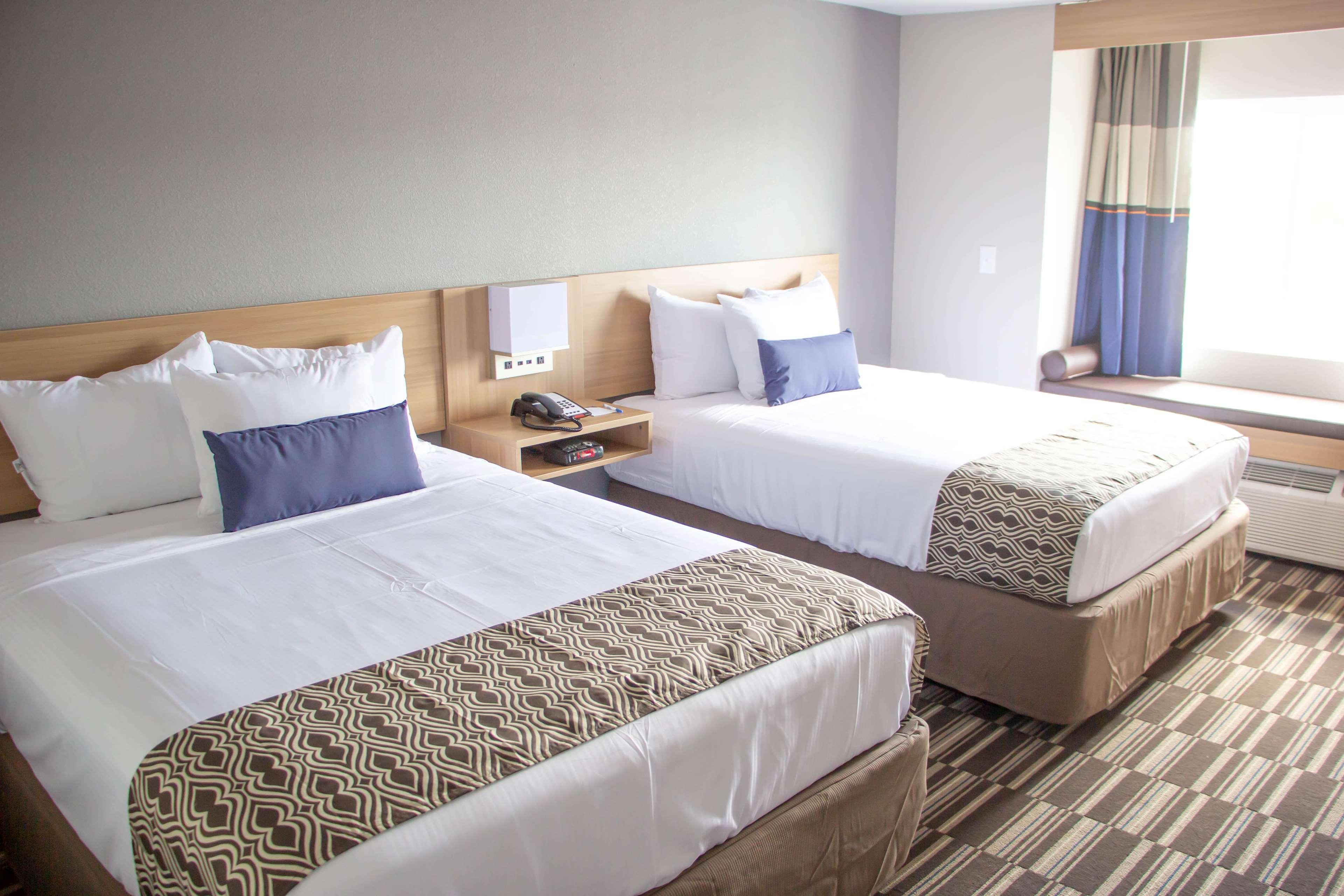 Microtel Inn&Suites by Wyndham Camp Lejeune/Jacksonville Extérieur photo